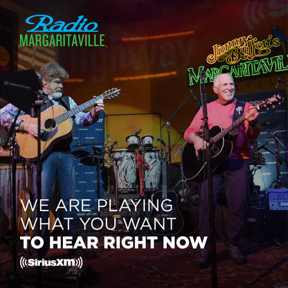 SiriusXM SXV300v1 Satellite Radio Vehicle Tuner, 1st 3 Months Free Subscription